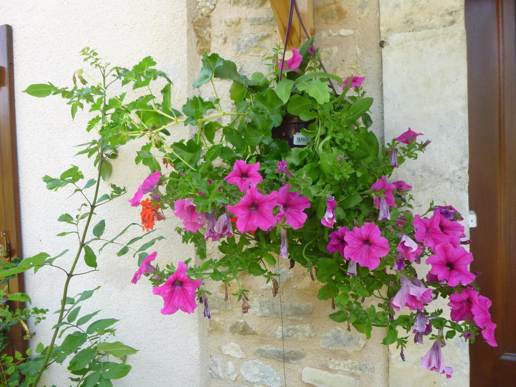 Bed and Breakfast Chez Pommette et Billy La Hoguette Exterior foto